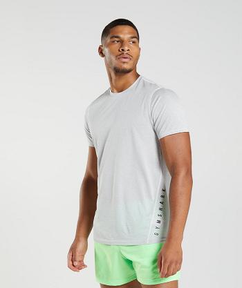 T Shirts Gymshark Deporte Hombre Blancas Gris | CO 3315ZUT